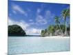 Photographic Print