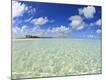 Premium Photographic Print