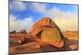 Photographic Print