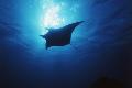 Premium Photographic Print