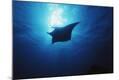 Premium Photographic Print