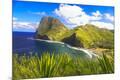 Photographic Print
