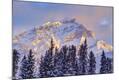 Premium Photographic Print