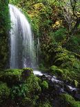 Mt Hood National Forest, Waterfall, Columbia Gorge Scenic Area, Oregon, USA-Stuart Westmorland-Photographic Print