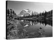 Stretched Canvas Print