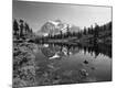 Photographic Print