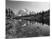 Photographic Print