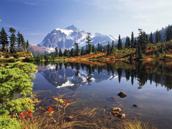 Premium Photographic Print, , large