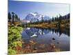 Photographic Print