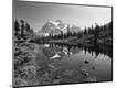 Photographic Print