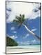 Premium Photographic Print
