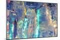 Premium Photographic Print