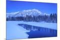 Photographic Print