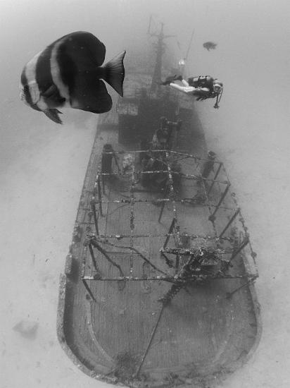 Photographic Print, , large