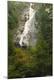 Premium Photographic Print