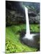 Premium Photographic Print