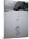 Premium Photographic Print