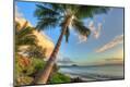 Premium Photographic Print
