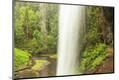 Premium Photographic Print