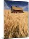 Premium Photographic Print