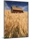 Premium Photographic Print
