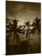 Premium Photographic Print