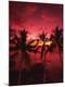 Premium Photographic Print