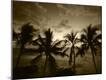 Premium Photographic Print