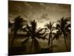 Premium Photographic Print