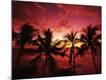 Premium Photographic Print