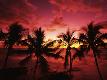 Premium Photographic Print