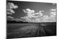 Photographic Print