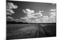Photographic Print