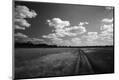 Photographic Print