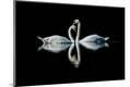 Premium Photographic Print