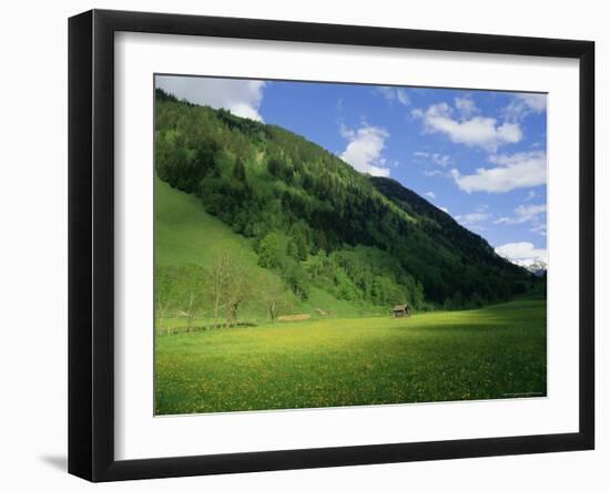 Stubachtal Valley, Hohe Tauern National Park, Salzburgland, Austrian Alps, Austria, Europe-Richard Nebesky-Framed Photographic Print