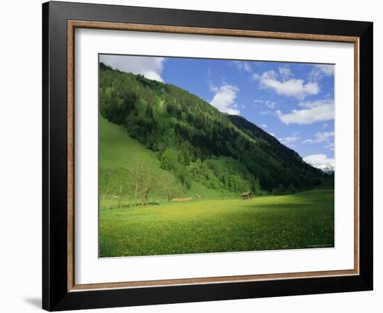 Stubachtal Valley, Hohe Tauern National Park, Salzburgland, Austrian Alps, Austria, Europe-Richard Nebesky-Framed Photographic Print