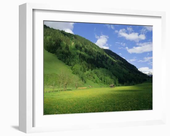 Stubachtal Valley, Hohe Tauern National Park, Salzburgland, Austrian Alps, Austria, Europe-Richard Nebesky-Framed Photographic Print