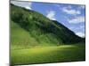 Stubachtal Valley, Hohe Tauern National Park, Salzburgland, Austrian Alps, Austria, Europe-Richard Nebesky-Mounted Photographic Print