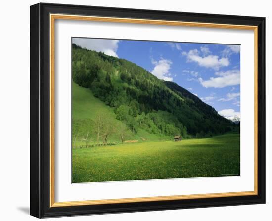 Stubachtal Valley, Hohe Tauern National Park, Salzburgland, Austrian Alps, Austria, Europe-Richard Nebesky-Framed Photographic Print