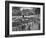 Students on Campus of Cornell University-Alfred Eisenstaedt-Framed Photographic Print