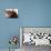 Students Read the Holy Quran During a Class in Herat, Afghanistan-null-Photographic Print displayed on a wall