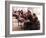 Students Read the Holy Quran During a Class in Herat, Afghanistan-null-Framed Photographic Print