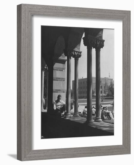 Students Studying on a Spring Day at the UCLA Campus-Martha Holmes-Framed Photographic Print