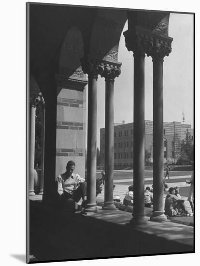 Students Studying on a Spring Day at the UCLA Campus-Martha Holmes-Mounted Photographic Print