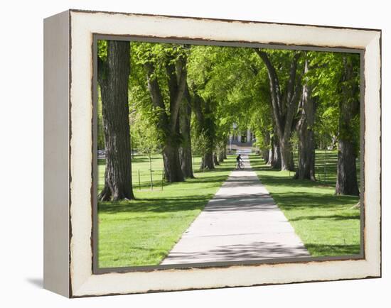 Students Walk in the Oval, Fort Collins, Colorado, USA-Trish Drury-Framed Premier Image Canvas