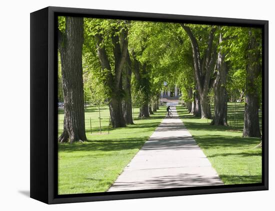 Students Walk in the Oval, Fort Collins, Colorado, USA-Trish Drury-Framed Premier Image Canvas