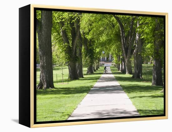 Students Walk in the Oval, Fort Collins, Colorado, USA-Trish Drury-Framed Premier Image Canvas