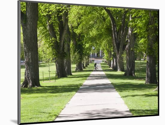 Students Walk in the Oval, Fort Collins, Colorado, USA-Trish Drury-Mounted Photographic Print