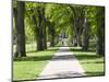 Students Walk in the Oval, Fort Collins, Colorado, USA-Trish Drury-Mounted Photographic Print